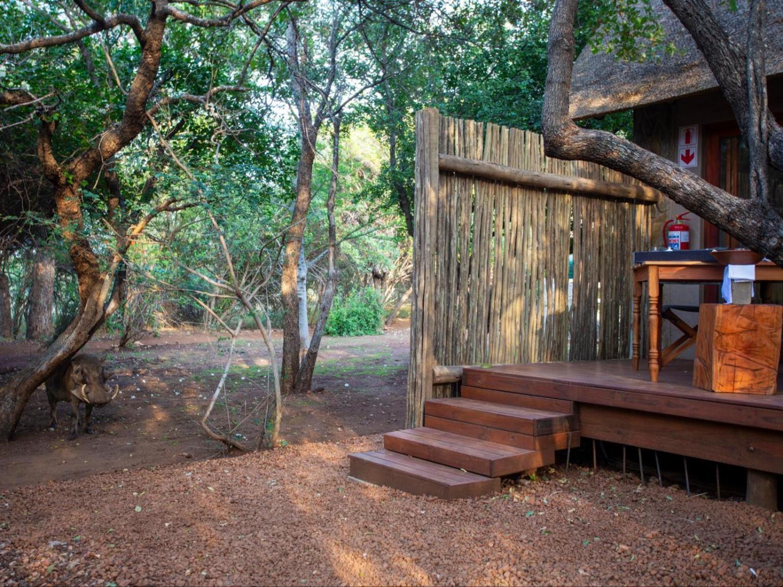 Alojamento de Turismo Selvagem Etnika Manor House Adults Only *